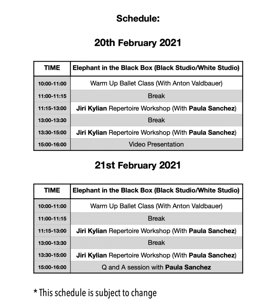 horario workshop Madrid febrero -deepdivedance